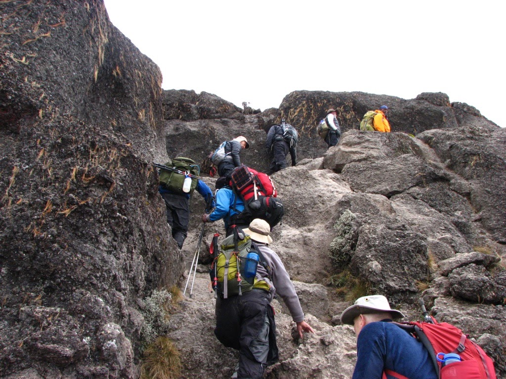 What Mt. Kilimanjaro Taught Me About Business